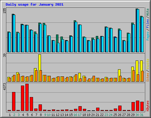 Daily usage for January 2021