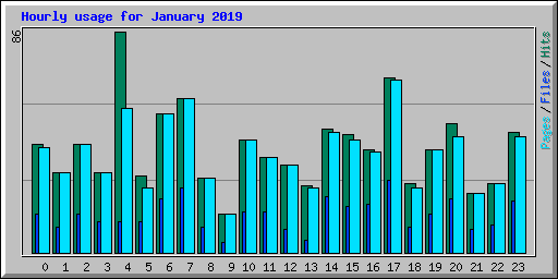 Hourly usage for January 2019