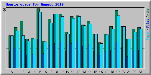 Hourly usage for August 2019