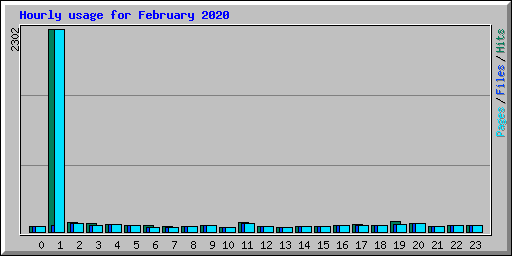 Hourly usage for February 2020