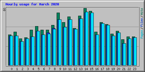 Hourly usage for March 2020