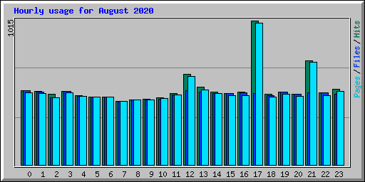 Hourly usage for August 2020