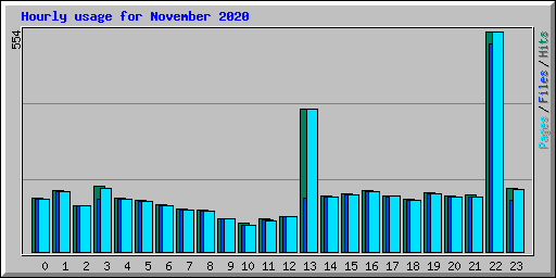 Hourly usage for November 2020