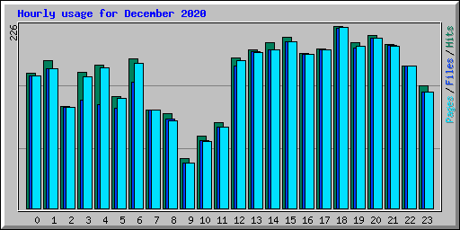 Hourly usage for December 2020