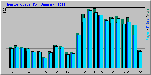 Hourly usage for January 2021