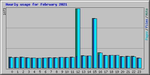 Hourly usage for February 2021