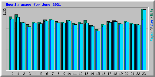 Hourly usage for June 2021